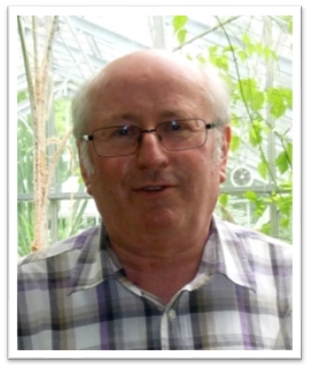 Hans-Dieter Wallschläger